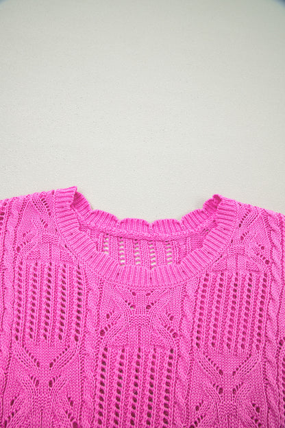 Beau Blue Pointelle Knit Patterned Scalloped Trim Short Sleeve Sweater