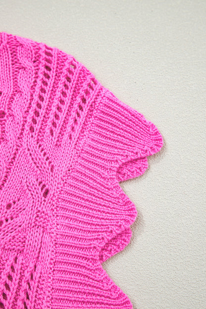 Beau Blue Pointelle Knit Patterned Scalloped Trim Short Sleeve Sweater