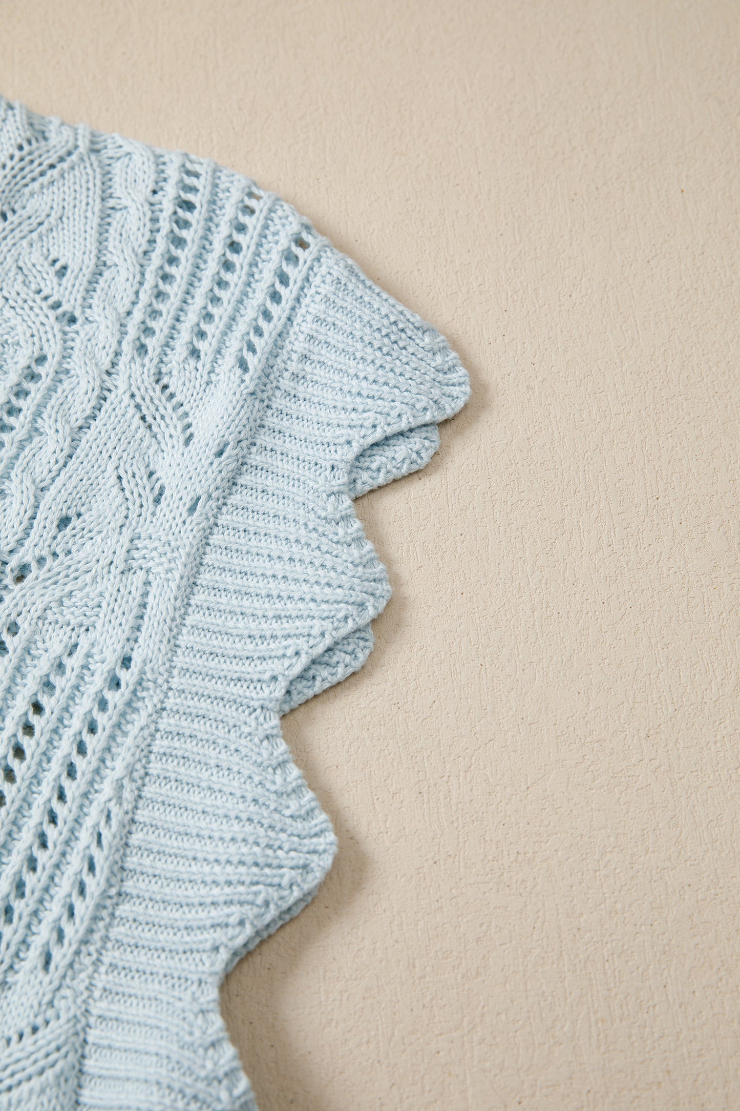 Beau Blue Pointelle Knit Patterned Scalloped Trim Short Sleeve Sweater