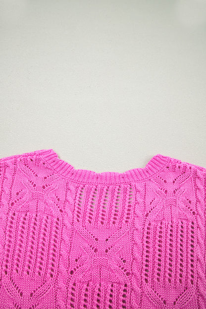 Beau Blue Pointelle Knit Patterned Scalloped Trim Short Sleeve Sweater